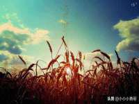 盐城木子信息咨询有限公司