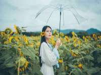盐城木子信息咨询有限公司