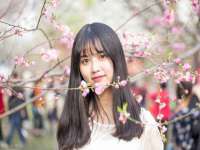 盐城木子信息咨询有限公司