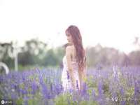 盐城木子信息咨询有限公司
