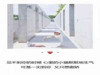 盐城木子信息咨询有限公司