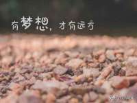 盐城木子信息咨询有限公司