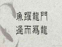 盐城木子信息咨询有限公司