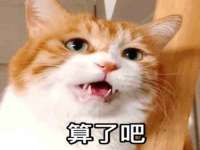 盐城木子信息咨询有限公司