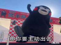 盐城木子信息咨询有限公司