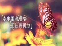 盐城木子信息咨询有限公司