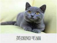 盐城木子信息咨询有限公司