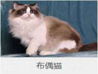 盐城木子信息咨询有限公司