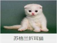 盐城木子信息咨询有限公司
