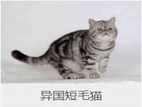 盐城木子信息咨询有限公司