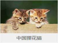 盐城木子信息咨询有限公司