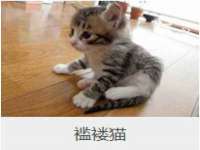 盐城木子信息咨询有限公司