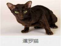 盐城木子信息咨询有限公司