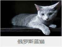 盐城木子信息咨询有限公司