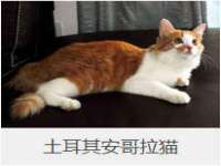 盐城木子信息咨询有限公司