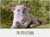 盐城木子信息咨询有限公司