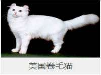 盐城木子信息咨询有限公司