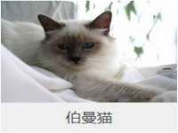 盐城木子信息咨询有限公司