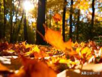 盐城木子信息咨询有限公司