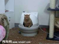 盐城木子信息咨询有限公司