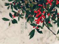 盐城木子信息咨询有限公司
