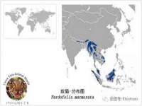 盐城木子信息咨询有限公司