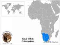 盐城木子信息咨询有限公司