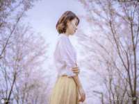 盐城木子信息咨询有限公司