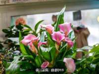 盐城木子信息咨询有限公司
