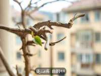 盐城木子信息咨询有限公司
