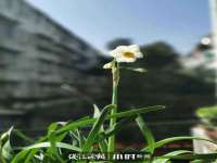 盐城木子信息咨询有限公司