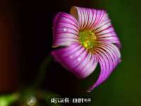 盐城木子信息咨询有限公司
