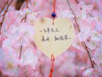 盐城木子信息咨询有限公司