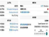 盐城木子信息咨询有限公司