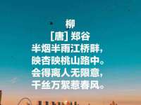 盐城木子信息咨询有限公司