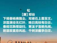 盐城木子信息咨询有限公司