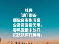 盐城木子信息咨询有限公司