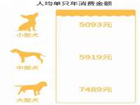 盐城木子信息咨询有限公司