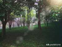 盐城木子信息咨询有限公司