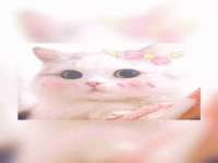 盐城木子信息咨询有限公司