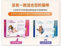 盐城木子信息咨询有限公司