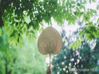 盐城木子信息咨询有限公司