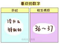 盐城木子信息咨询有限公司