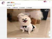 盐城木子信息咨询有限公司