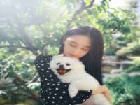 盐城木子信息咨询有限公司