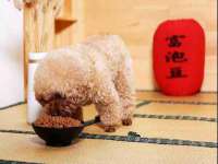 盐城木子信息咨询有限公司