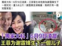 盐城木子信息咨询有限公司