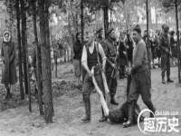 盐城木子信息咨询有限公司