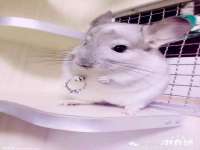 盐城木子信息咨询有限公司