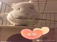 盐城木子信息咨询有限公司